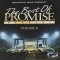 The Best of Promise Keepers, Volume 2 (CD)